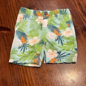 Boys chino shorts